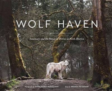 Wolf Haven. Sanctuary and the Future of Wolves in North America 