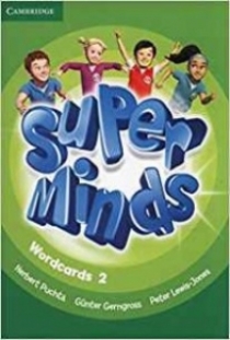 Super Minds Level 2 Wordcards 