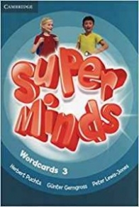 Super Minds Level 3 Wordcards 