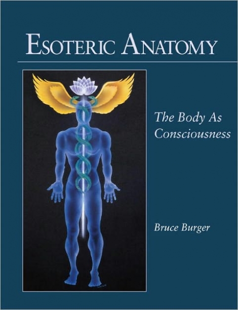 Burger Bruce Esoteric Anatomy 