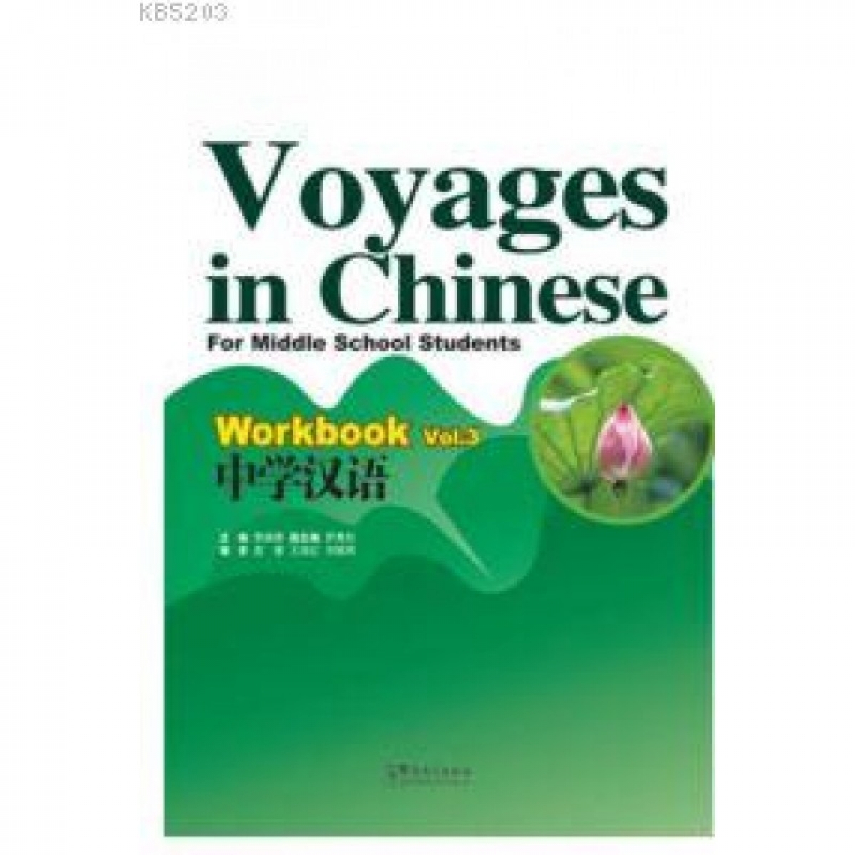 Xiaoqi Li Voyages in Chinese 3 Workbook 