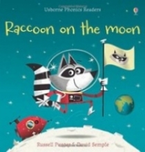 Russell Punter Raccoon on the Moon 
