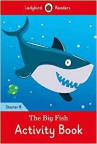 Big Fish Activity Book 