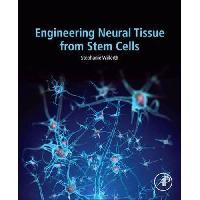 Willerth, Stephanie (associate Professor Of Biomed Engineering neural tissue from stem cells 