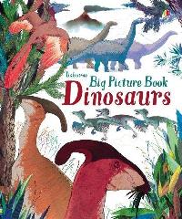 Usborne Big Picture Book Dinosaurs 