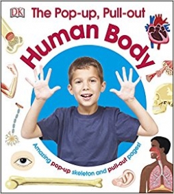 The Pop-Up Pull Out Human Body 