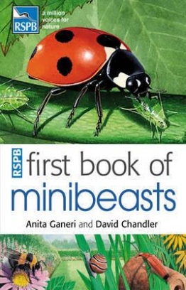 Anita Ganeri and David Chandler First book of minibeasts 