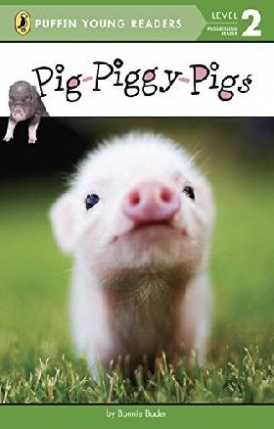 Bonnie, Bader Pig-Piggy-Pigs 