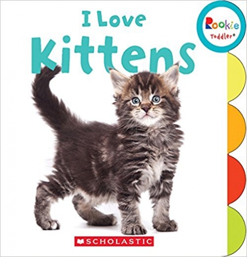 Falk Laine I Love Kittens (Board book) 