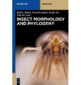Rolf G. Beutel, Frank Friedrich, Xing-Ke Yang, Si- Insect  Morphology and Phylogeny: A Textbook for Students of Entomology 