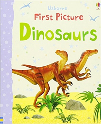 Brooks Felicity First Picture Dinosaurs 