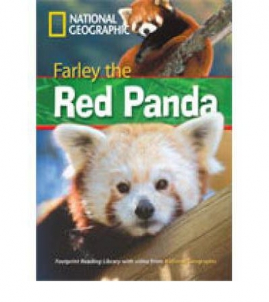 Farley the Red Panda 