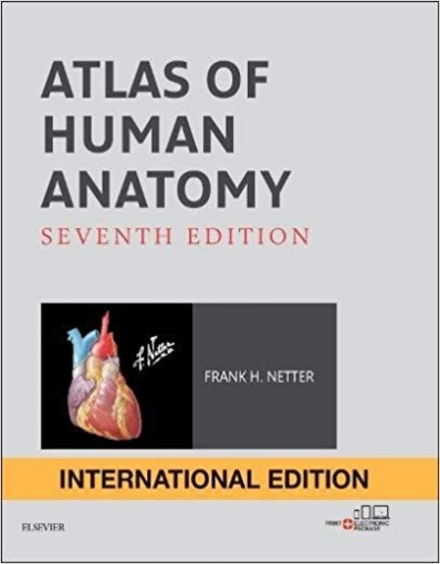 MD, Frank H., Netter Atlas of human anatomy international edition 