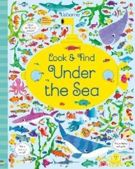 Robson Kirsteen Look and Find Under the Sea 