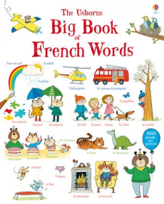 Mackinnon Mairi, Wood Hannah Big Book of French Words 