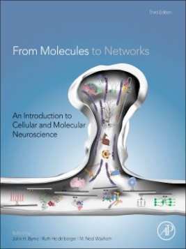 John Byrne From Molecules to Networks, 