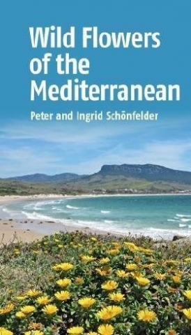 Peter, Schonfelder, Ingrid Schonfelder Wild flowers of the mediterranean 