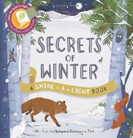 Brown, Georgina, Carron Tee Secrets of Winter: A Shine-a-light book 