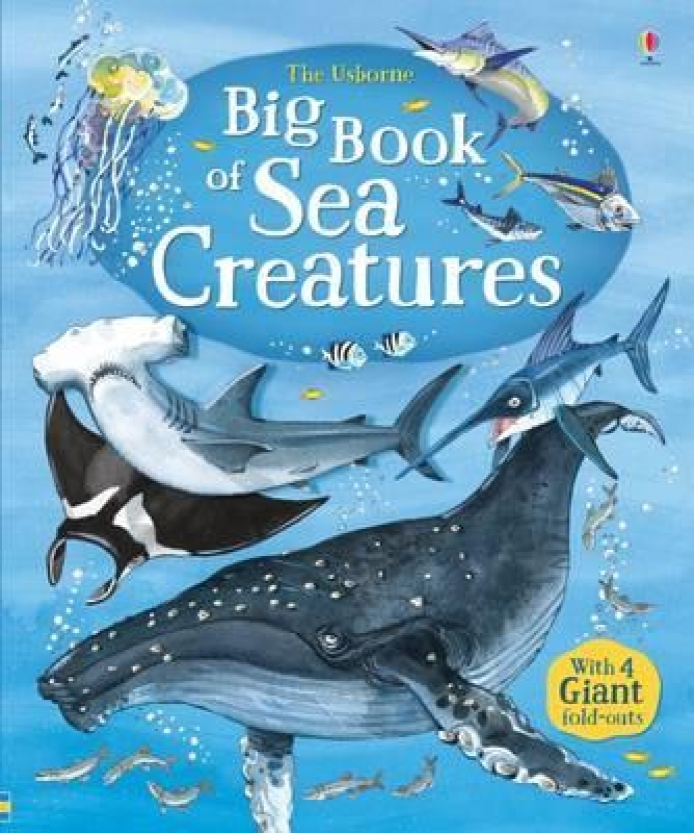 Lacey Minna Big Book of Sea Creatures 