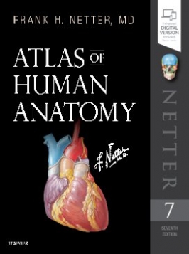 Netter Frank H. Atlas of Human Anatomy 7 . 