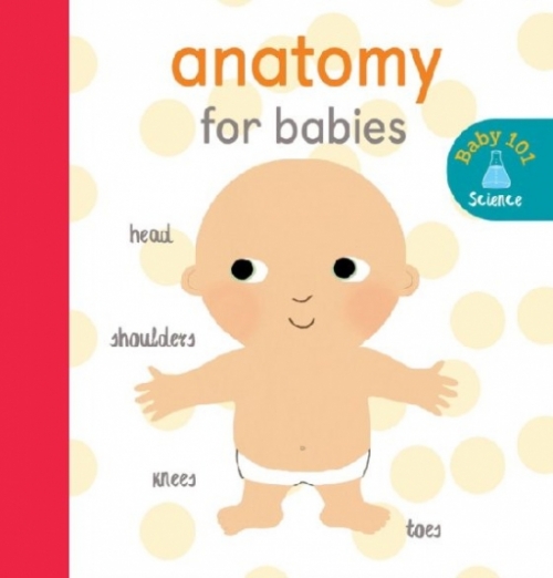 Litton Jonathan Anatomy for Babies 