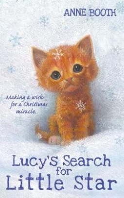 Booth Anne Lucy's Search for Little Star 