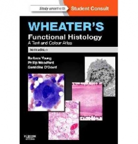 Barbara Young Wheater's Functional Histology, (With STUDENT CONSULT Online Access) 