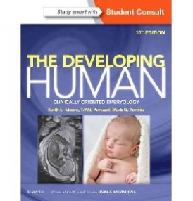 Moore, Persaud & Torchia The Developing Human, 10th Edition 