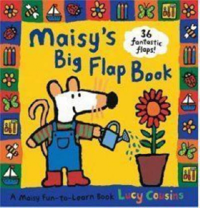 Cousins Lucy Maisy's big flap book 