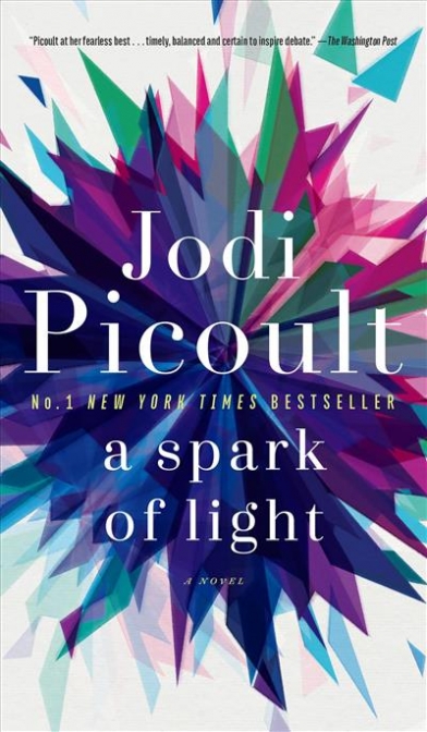 Picoult Jodi A Spark of Light 