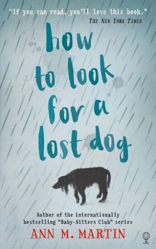 How to look for a dog 