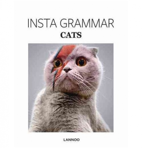 Schampaert Irene Insta Grammar: Cats 