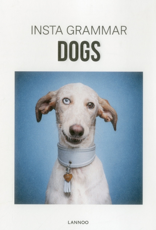 Insta Grammar: Dogs 