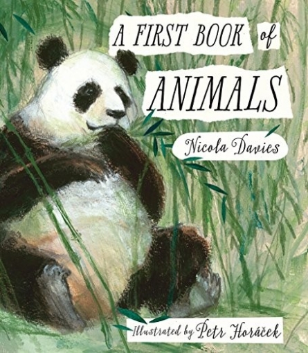 Davies Nicola A First Book of Animals 