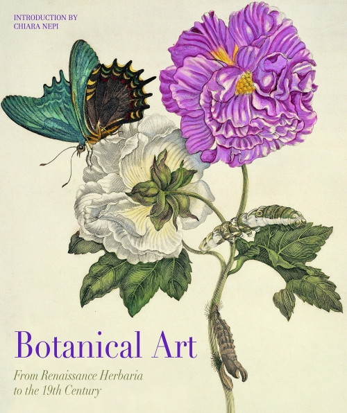 Laurent Anna Botanical Art 
