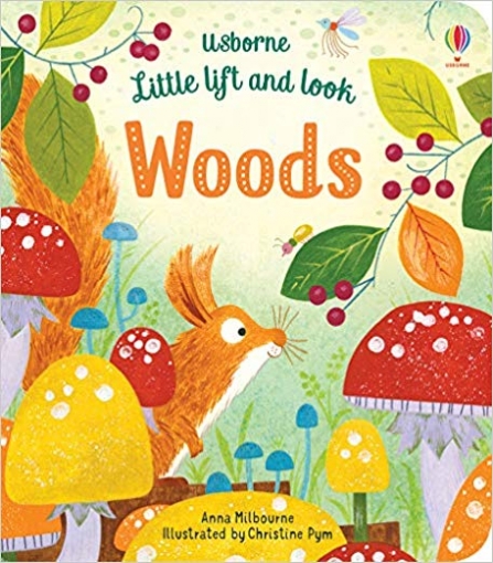 Milbourne Anna Little Lift and Look Woods. Board book 