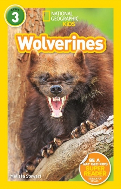Stewart Melissa National Geographic Readers: Wolverines. Level 3 