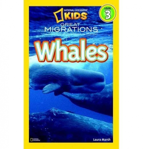 Marsh Laura National Geographic Readers: Great Migrations Whales. Level 3 