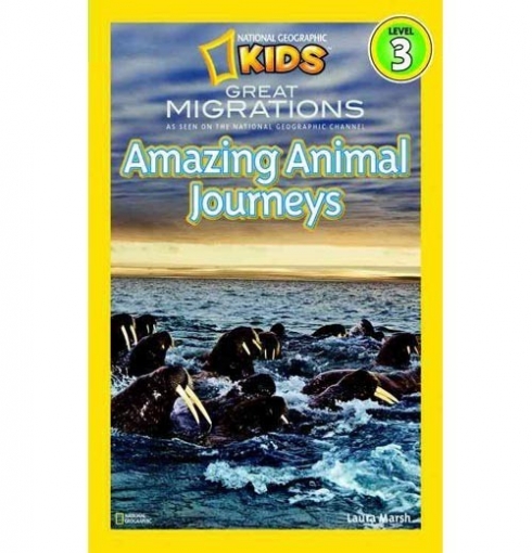 Marsh Laura National Geographic Readers: Great Migrations Amazing Animal Journeys. Level 3 