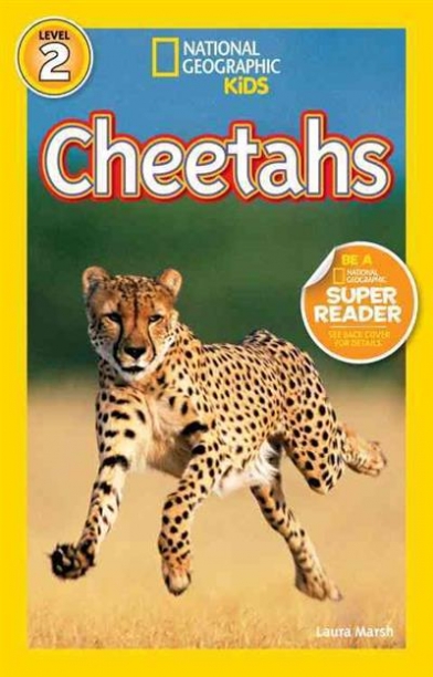 Marsh Laura Cheetahs 
