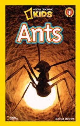 Stewart Melissa National Geographic Readers: Ants. Level 1 