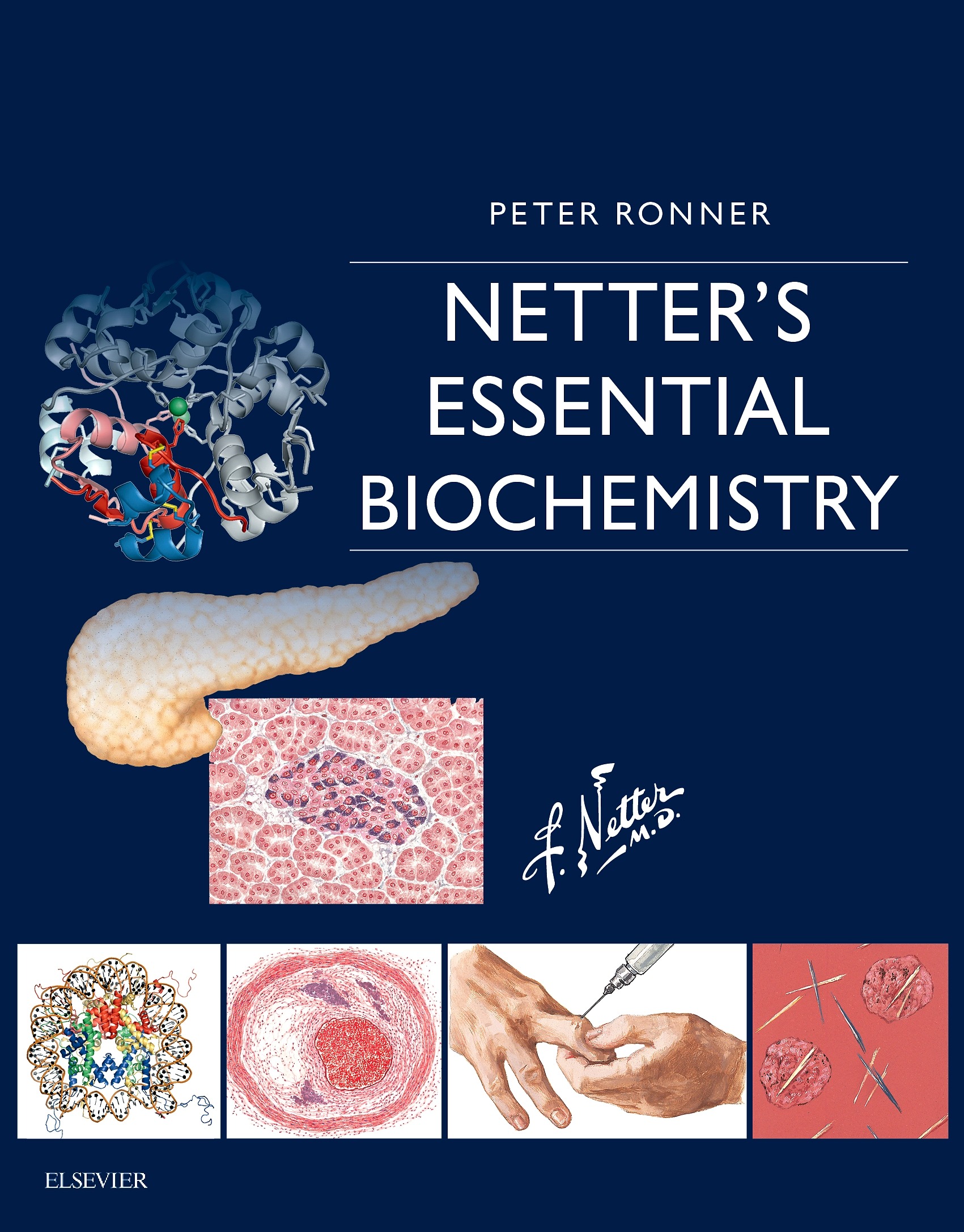 Ronner Peter Netter's Essential Biochemistry. - Elsevier Science 