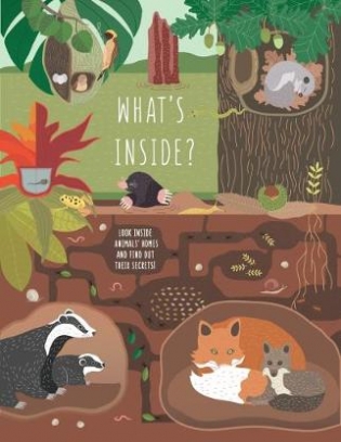 Giulia De Amicis What's Inside? Discover the Secret World of Animals 