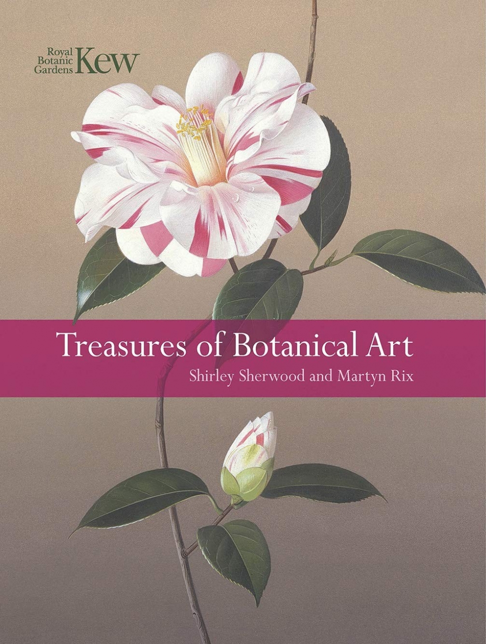Rix Martyn, Sherwood Shirley Treasures of Botanical Art 
