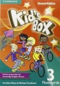 Caroline Nixon, Michael Tomlinson Kids Box Updated Second Edition 3 Flashcards (Pack of 109) 