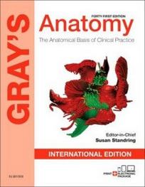 Standring S. Gray's Anatomy 