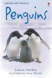 Davidson Susanna Penguins 