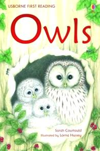 Courtauld S. Owls 