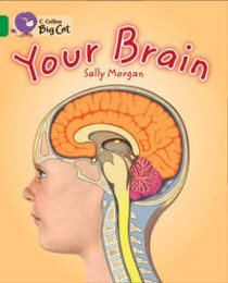 Morgan Sally Your Brain 