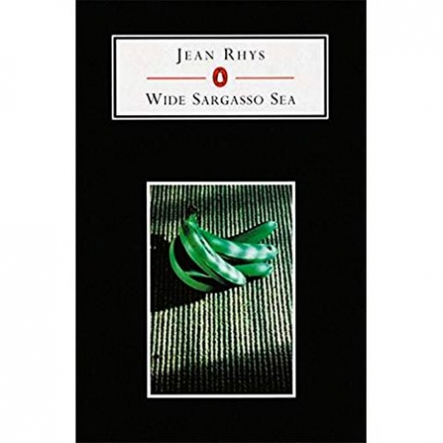 the wide sargasso sea and race essay the wide sargasso sea and race essay